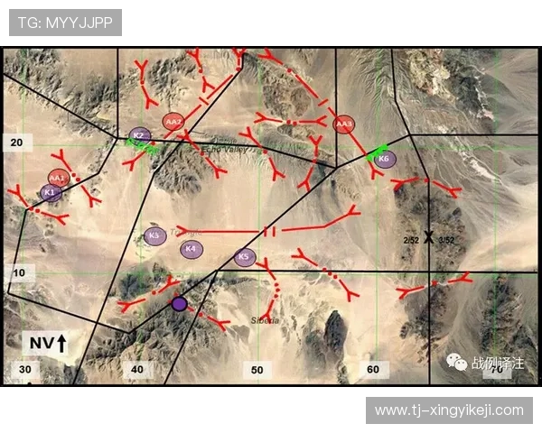 上海篮球队在钻石联赛中的战术分析与表现评估