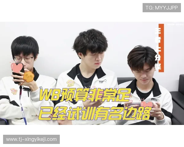 探讨TES战队边路渗透策略的成败与启示分析