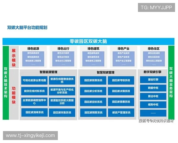 杭州排球队运营新模式解析与未来发展展望