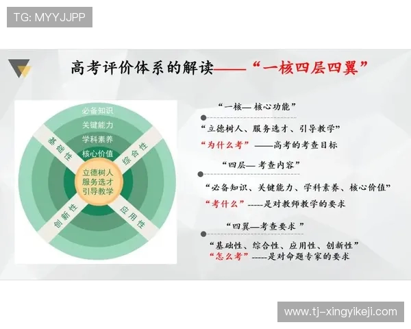 杭州足球队在锦标赛中的团队协作表现分析与点评展望